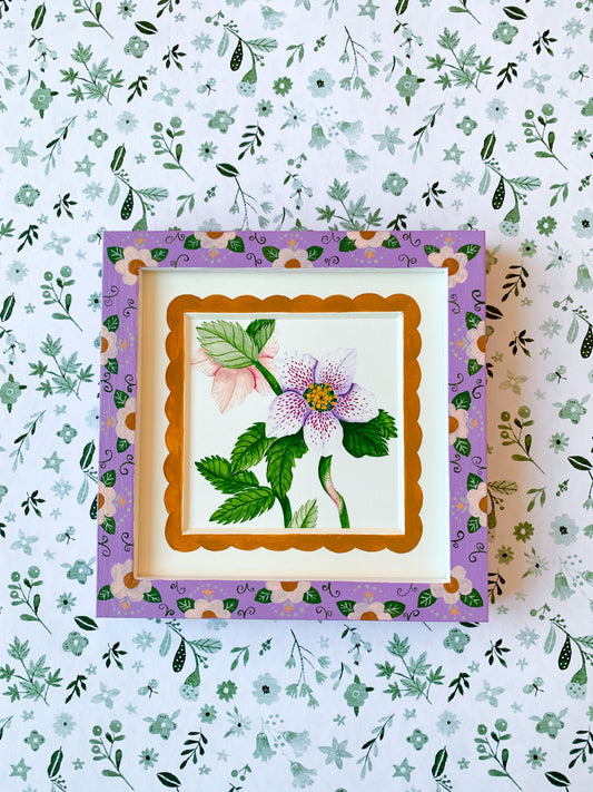 Is hellebore poisonous to touch? | Original painting